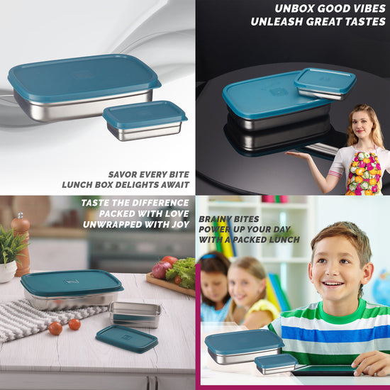 Trueware Bent Steel Stainless Steel Compact Big Steel Lunch Box