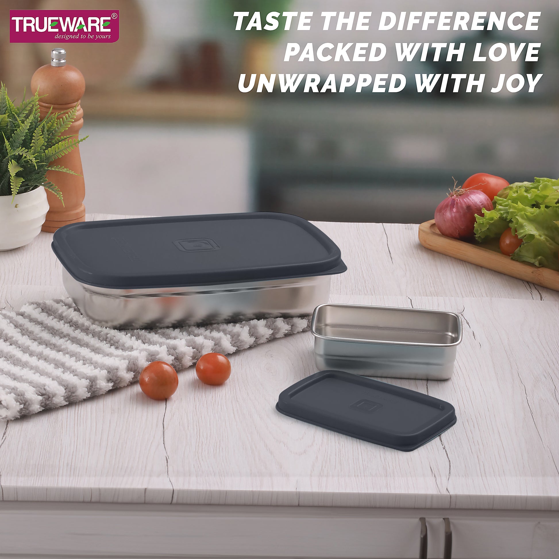 Trueware Bent Steel Stainless Steel Compact Big Steel Lunch Box