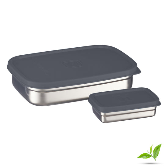 Trueware Bent Steel Stainless Steel Compact Big Steel Lunch Box