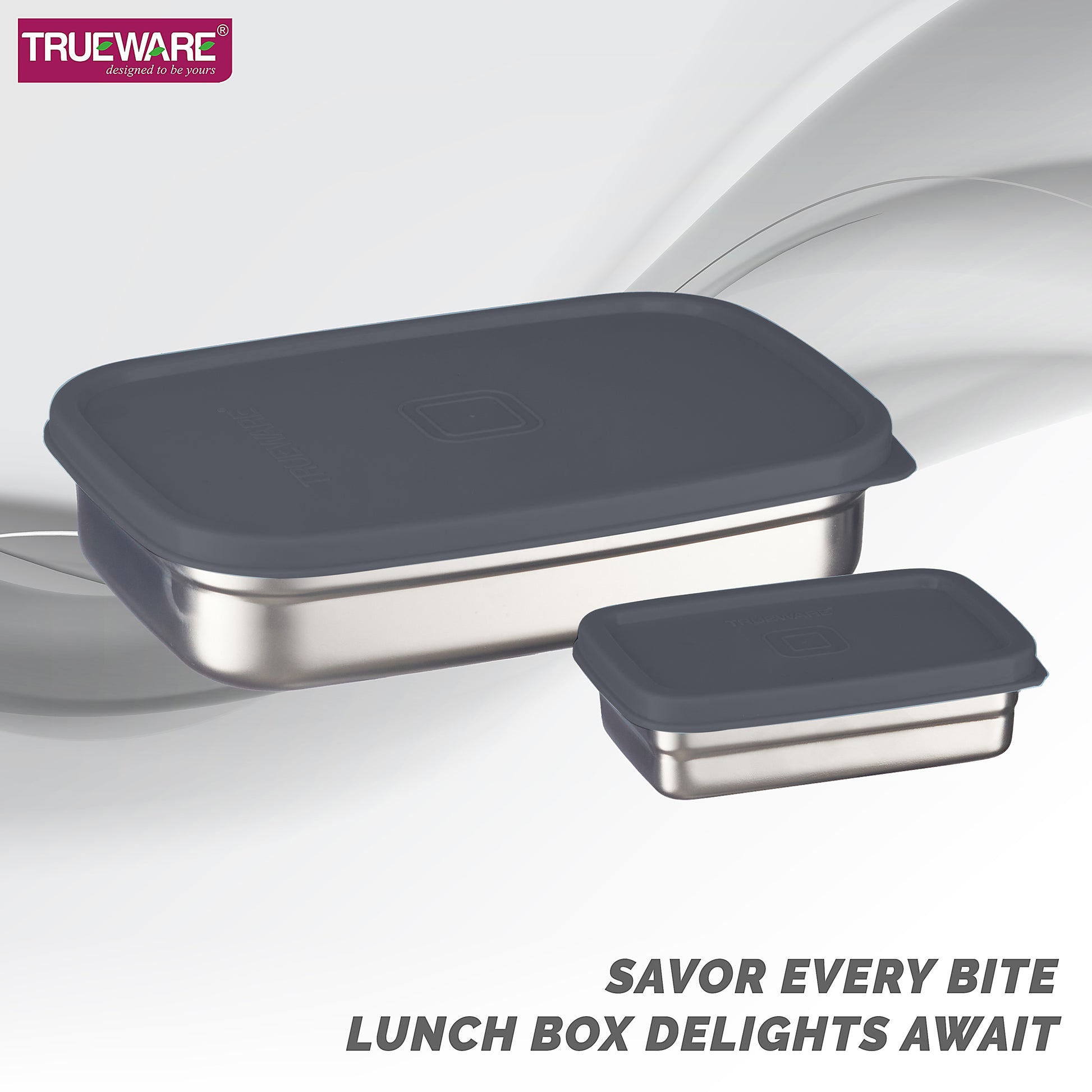 Trueware Bent Steel Stainless Steel Compact Big Steel Lunch Box
