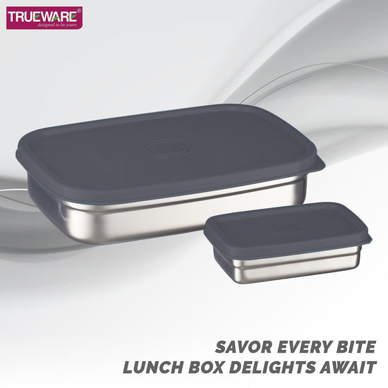 Trueware Bent Steel Stainless Steel Compact Big Steel Lunch Box
