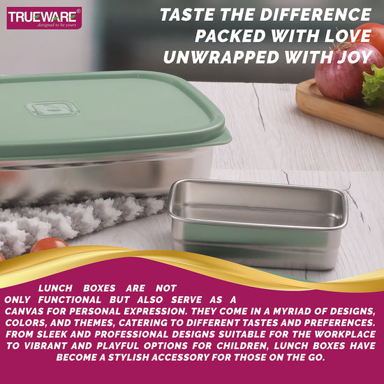 Trueware Bent Steel Stainless Steel Compact Big Steel Lunch Box