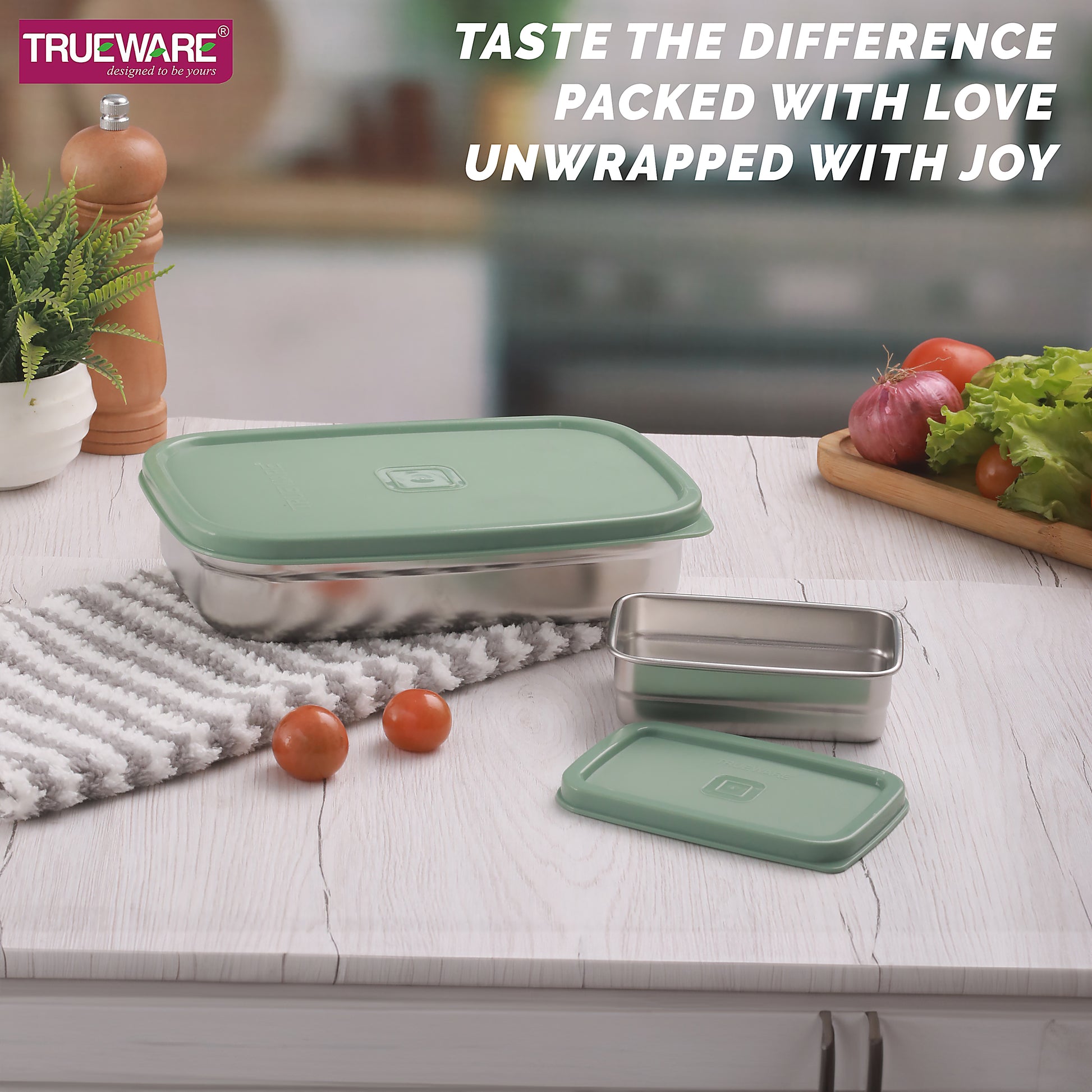 Trueware Bent Steel Stainless Steel Compact Big Steel Lunch Box