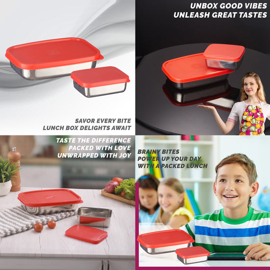 Trueware Bent Steel Stainless Steel Compact Big Steel Lunch Box