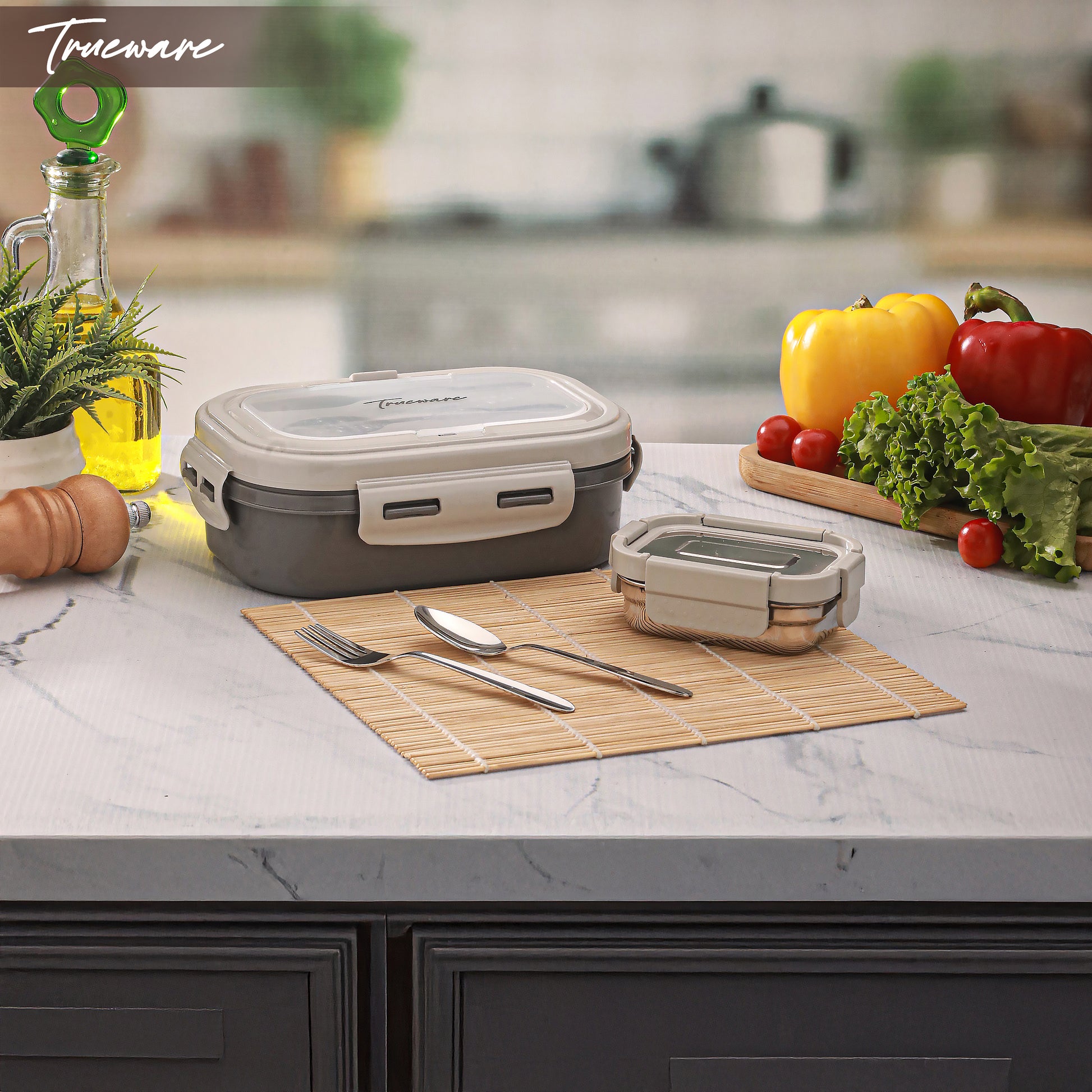 Trueware Picaso Insulated Inner Steel Thermoware BPA Free, Airtight, Food Grade, 2 Containers Lunch Box 750 ML
